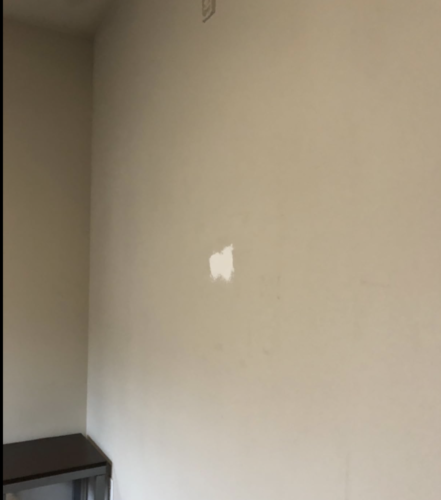 Wall Mending Agent photo review